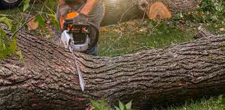 Best Lawn Irrigation Installation and Maintenance  in Hickory Creek, TX