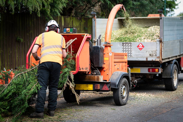 Best Tree Preservation Services  in Hickory Creek, TX