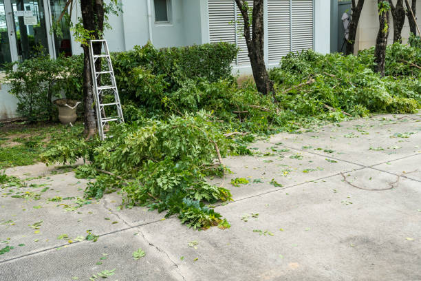 Best Lawn Drainage Solutions  in Hickory Creek, TX