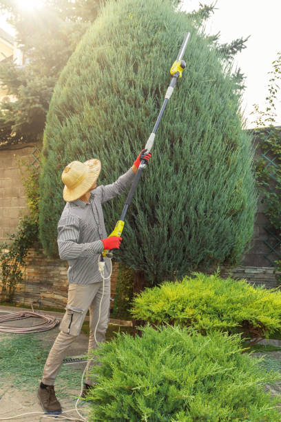 Best Stump Grinding and Removal  in Hickory Creek, TX